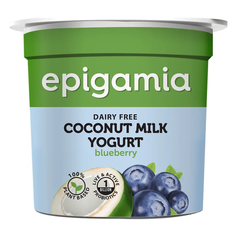 Epigamia Blueberry Coconut Milk Yogurt