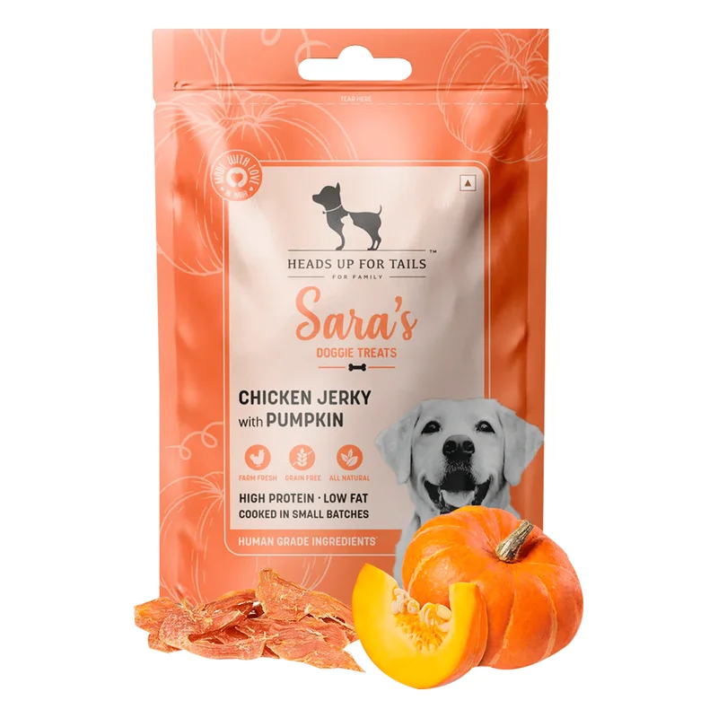 HUFT Yummy In My Tummy Pumpkin & Carrot Dog Biscuits