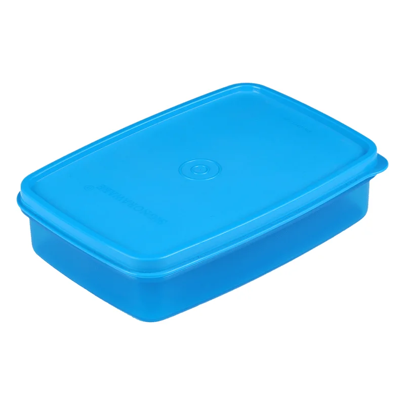 Signoraware Crispy Slim Box Plastic Container