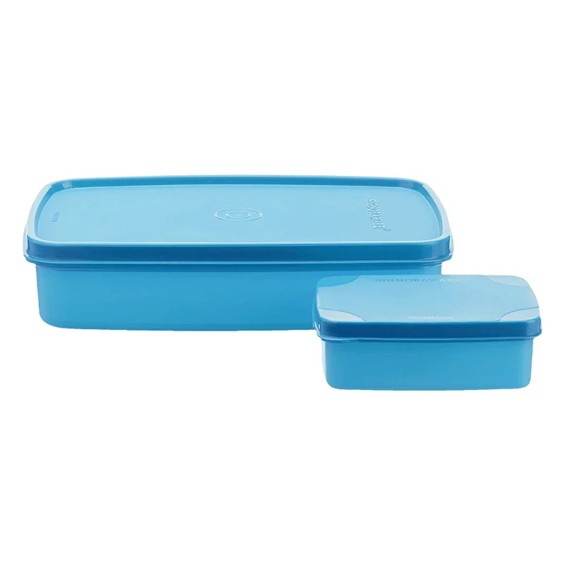 Signoraware Easy Lunch Container Set