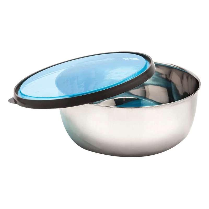 Signoraware Elegant Steel Container