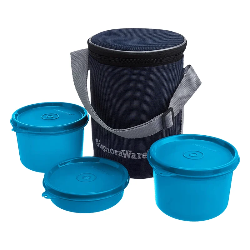 Signoraware Executive Medium Plastic Lunch Box with Bag