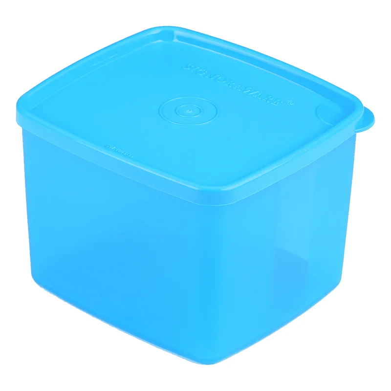 Signoraware Freezer Fresh Big Container