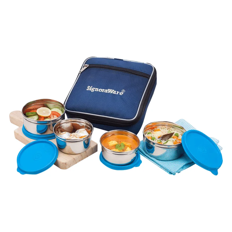 Signoraware Fresh Steel Lunch Box Set