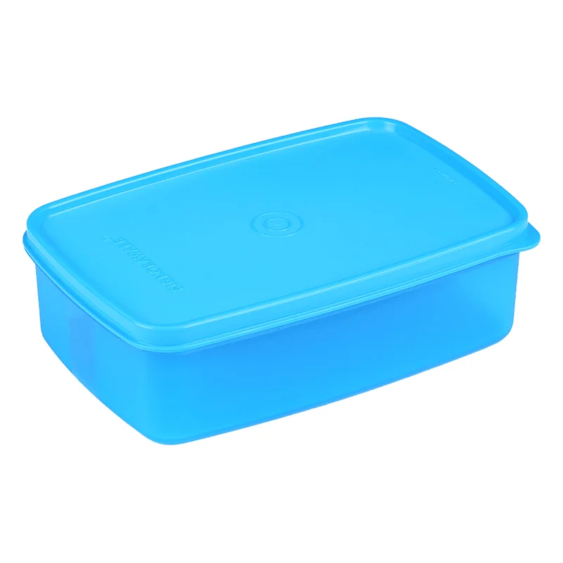 Signoraware Fridger Fresh Jumbo Container