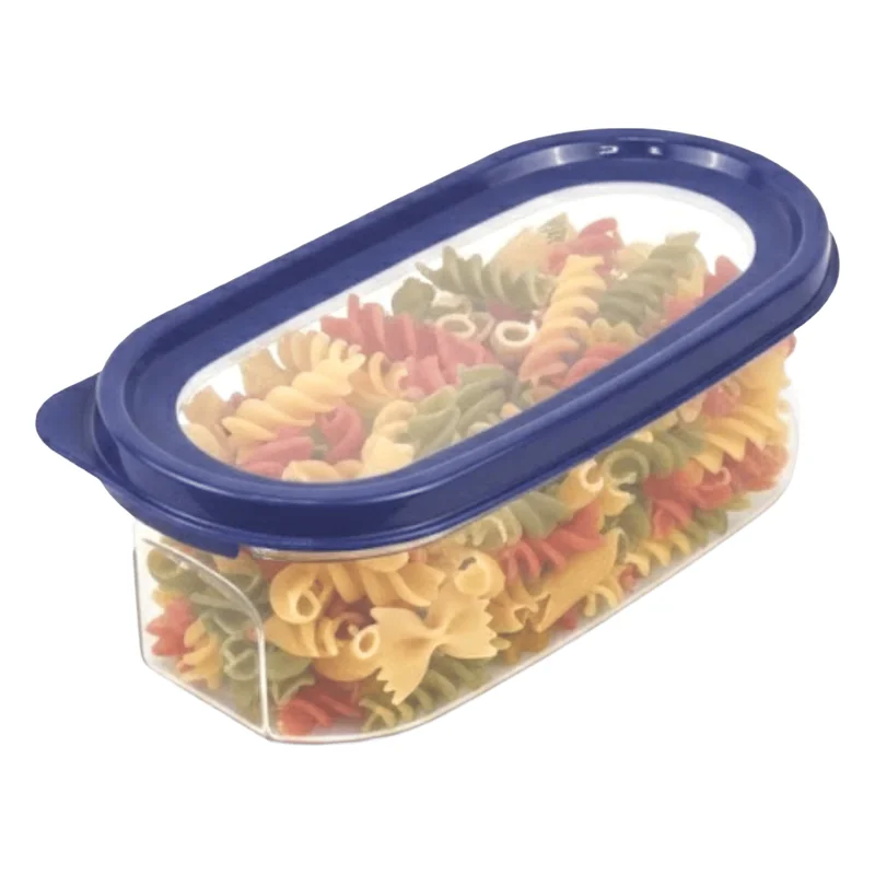 Signoraware Modular Transparent Plastic Container