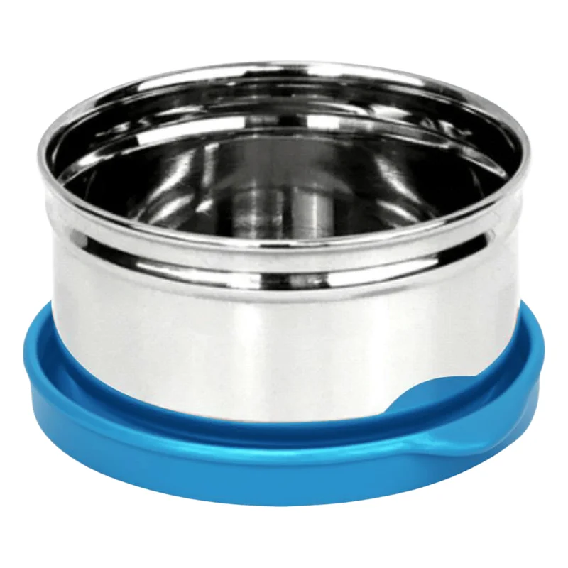 Signoraware Small Steel Container