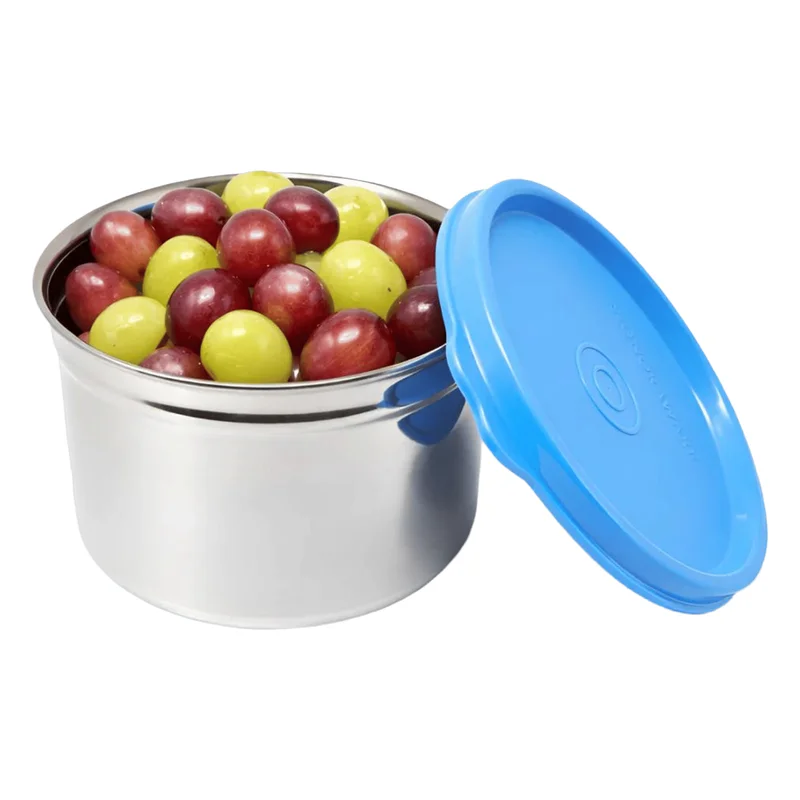 Signoraware Steel Container - Blue Lid
