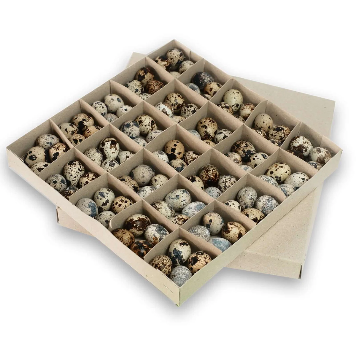 Country Fresh Quail Eggs (24 pcs)