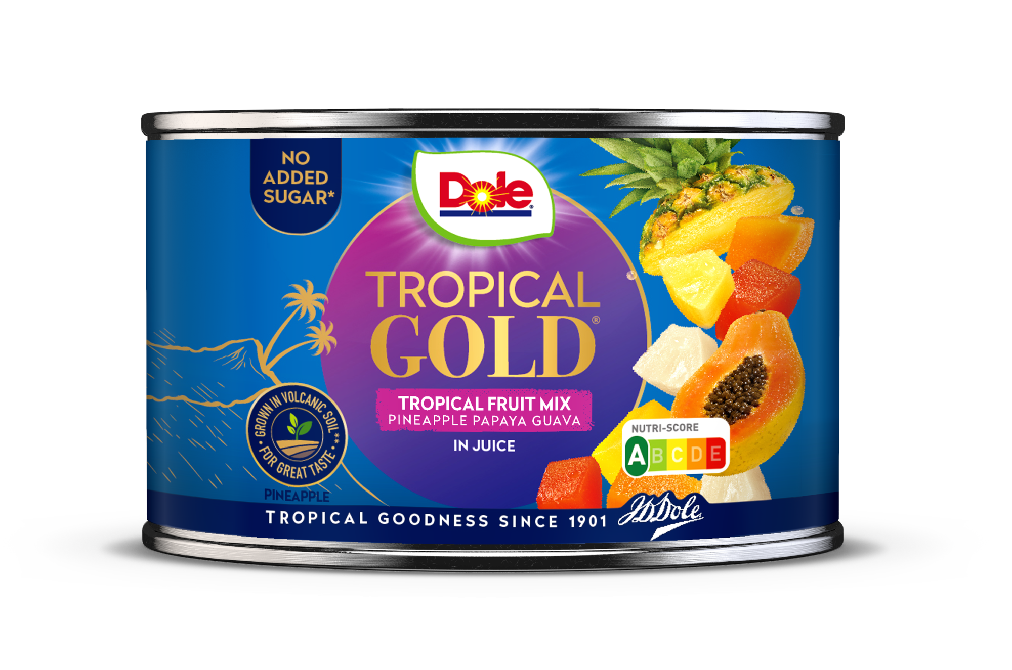 Dole Tropical Fruit Mix in Juice