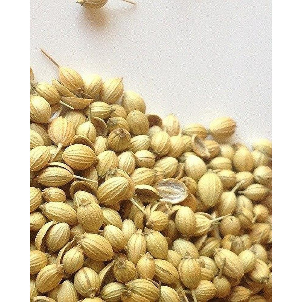 Everest Sabut Dhania (Whole Coriander Seeds)