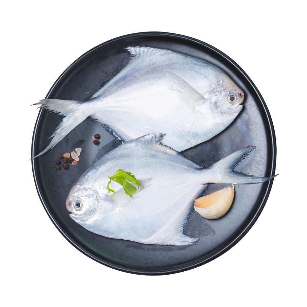 Fresho Silver Pomfret