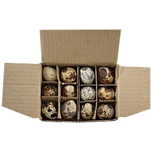 Fresho Quail Eggs (12 pcs)