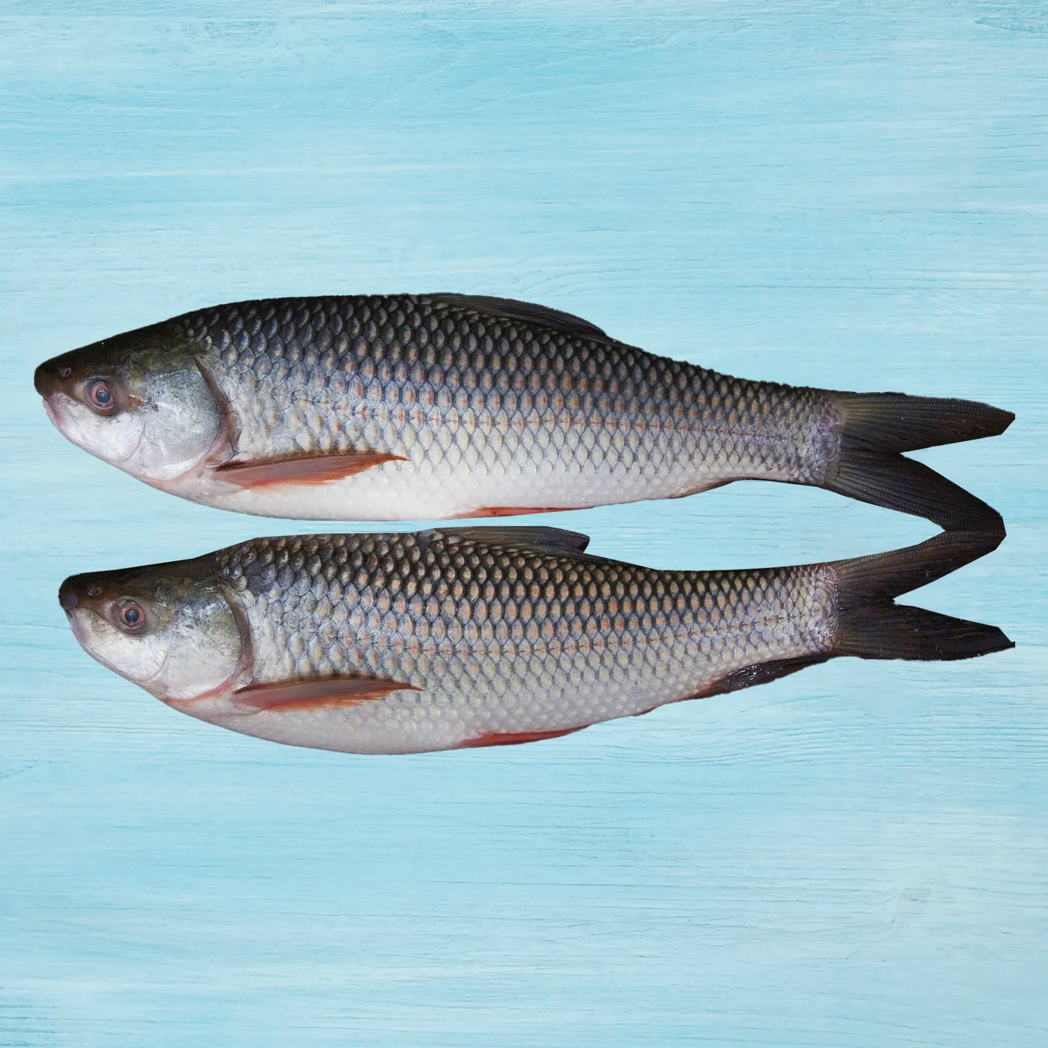 Fresho Rohu Fish - Whole (Cleaned)