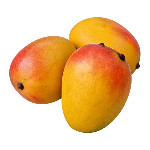 Alphonso Mango