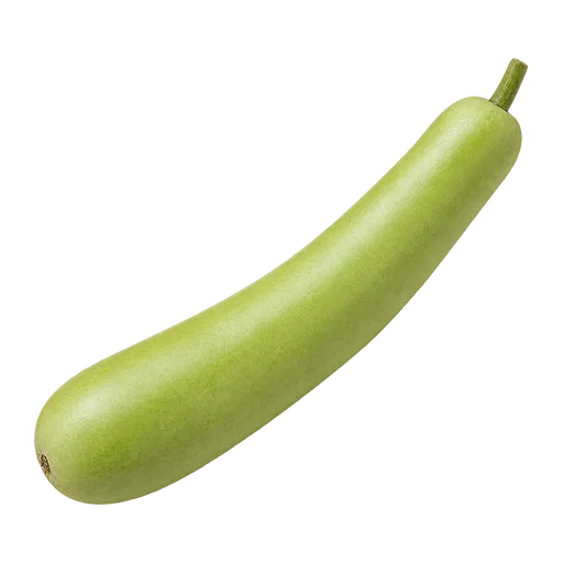 Bottle Gourd