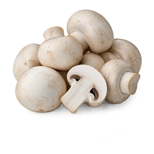 Button Mushroom