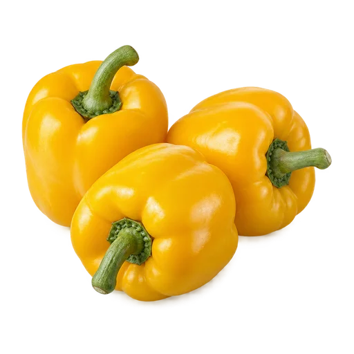 Capsicum (Yellow)
