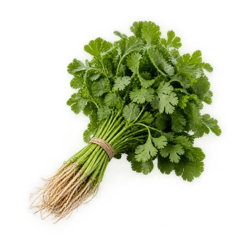 Coriander Leaves