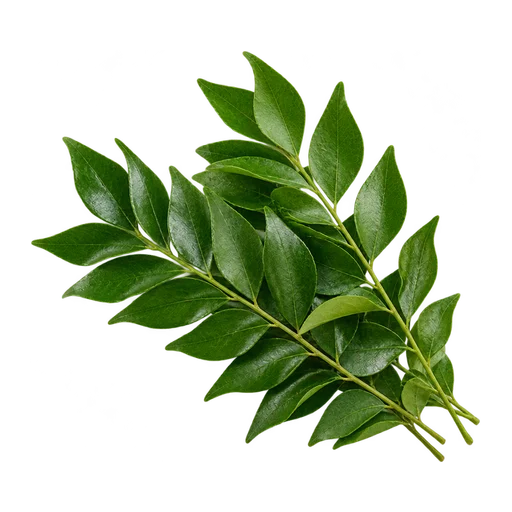 Curry Leaves