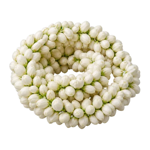 Fresh Jasmine (Mogra) Garland