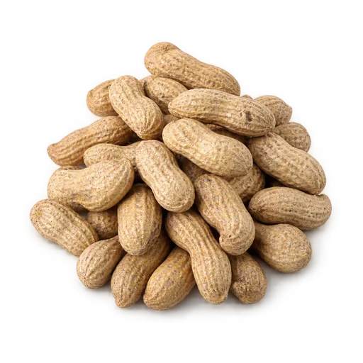 Groundnut in Shell