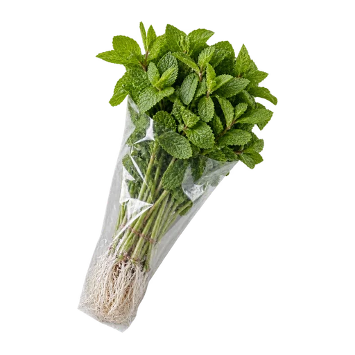 Mint - Hydroponic (Pack)