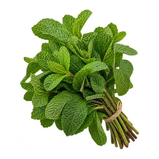 Mint Leaves
