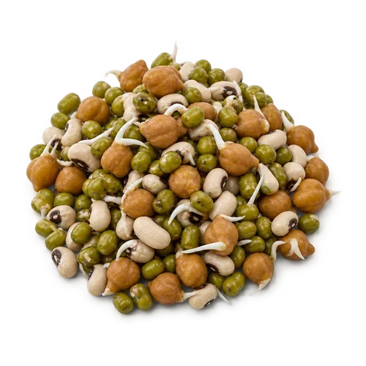 Mixed Sprouts