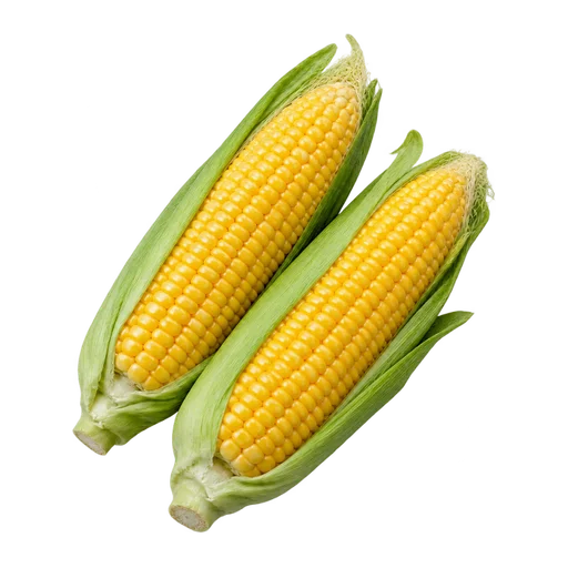 Sweet Corn
