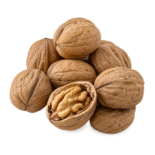 Walnuts in Shell